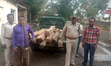 आखिर किस अधिकारी के संरक्षण में काटी जा रही