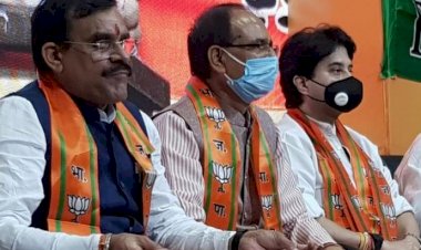  बीजेपी संगठन कार्यकारिणी घोषित नहीं होने का ये भी कारण हो सकता है 