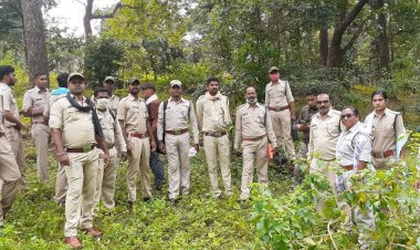 छत्तीसगढ़ और मध्यप्रदेश के वन अमला ने मिलकर किया 20 किलोमीटर पैदल गश्त...