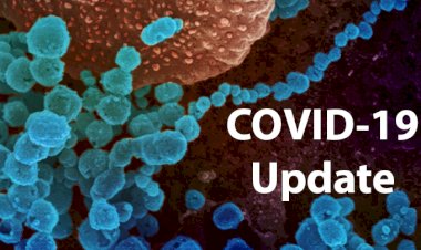 COVID -19 : छिंदवाड़ा सहित प्रदेश के 10 जिलों में रात्रि 10 बजे बाजार बंद करने की व्यवस्था रहेगी - मुख़्यमंत्री शिवराज 