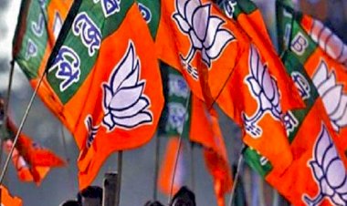 भाजपा प्रदेश युवा मोर्चा की कार्यकारिणी घोषित - देखे किसे क्या पद मिला 
