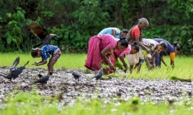 प्रदेश सरकार ने किसानों को दिया बड़ा तोहफा, खाते में 385 करोड़ 98 लाख रुपए अंतरित